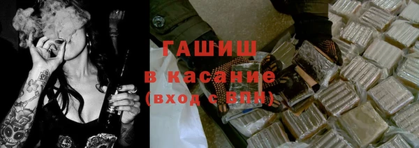 гидра Надым
