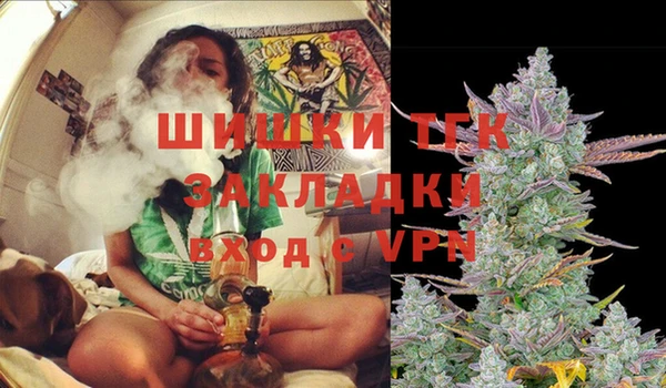 гидра Надым