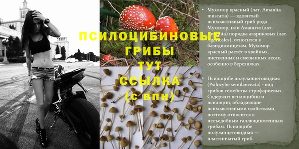 синтетический гашиш Навашино