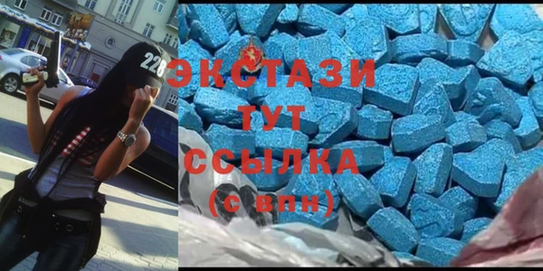 гидра Надым