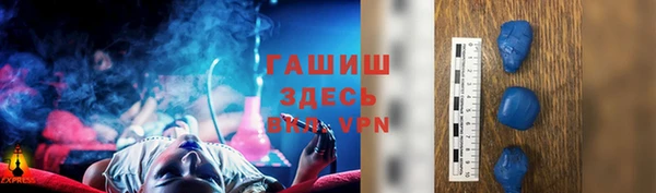гидра Надым