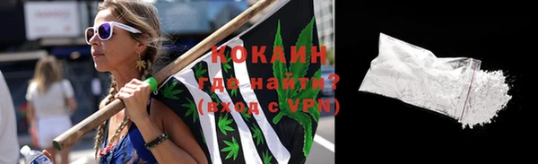 гидра Надым
