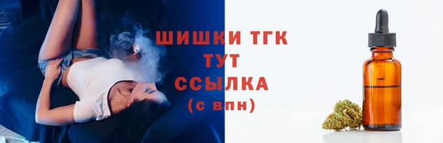 гидра Надым