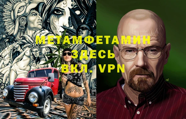 гидра Надым