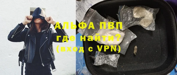 гидра Надым