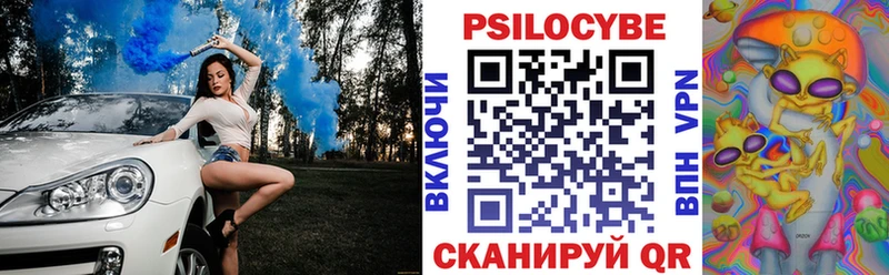 Купить закладки  Черногорск  Галлюциногенные грибы Magic Shrooms 